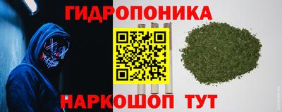 молекула духа Кулебаки