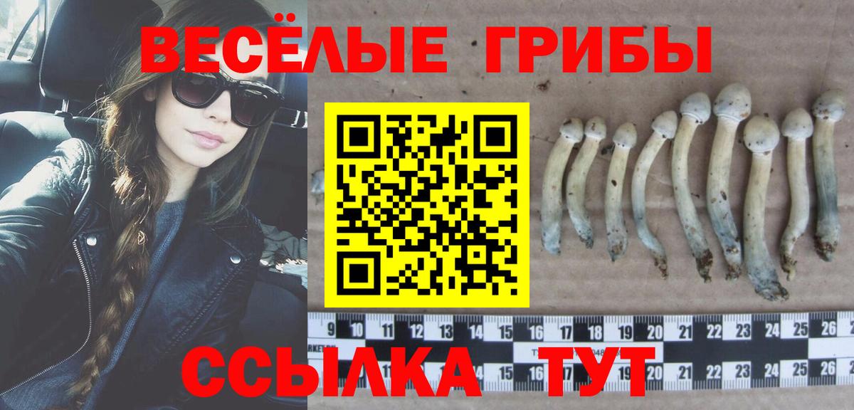 Псилоцибиновые грибы Cubensis Златоуст