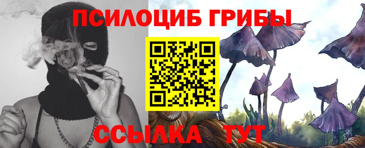 Златоуст  Псилоцибиновые грибы мицелий  купить наркотики цена  Вход с VPN 